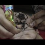 Easy Mehandi Desing for Hands