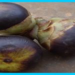 Tati kudumulu making,