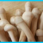 Traditional Mushrooms