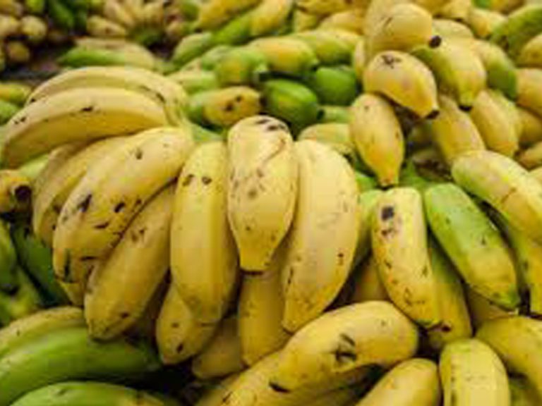 bananas