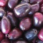 jamun fruit