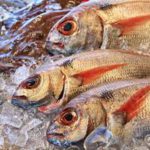 andhra chepala pulusu