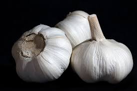 Health Benefits of Eating garlic