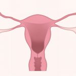 best food to eat during menstruation period