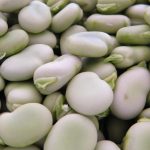 Healthy Diet For Parkinson's Disease