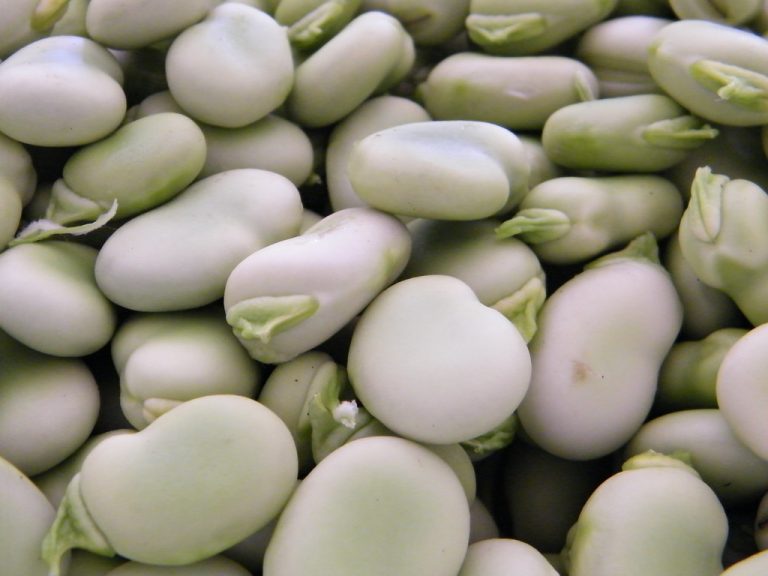 Healthy Diet For Parkinson's Disease