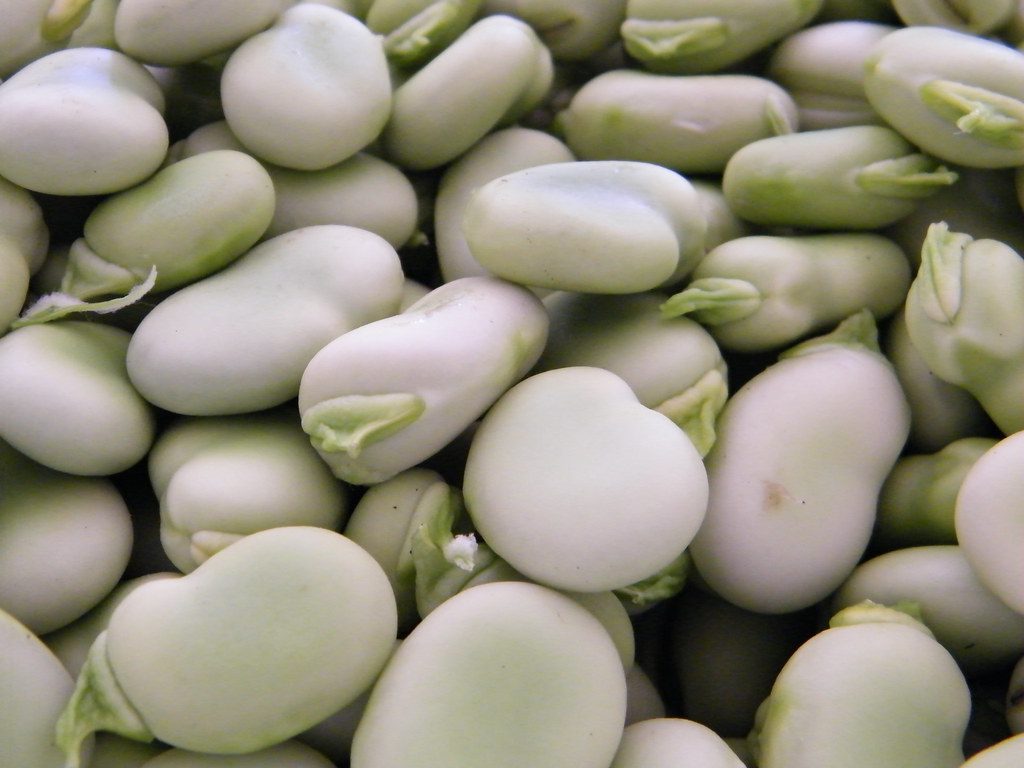 Healthy Diet For Parkinson's Disease