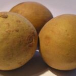 chikoo during pregnancy