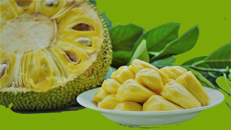 Health Benefits of Jackfruit For Kids