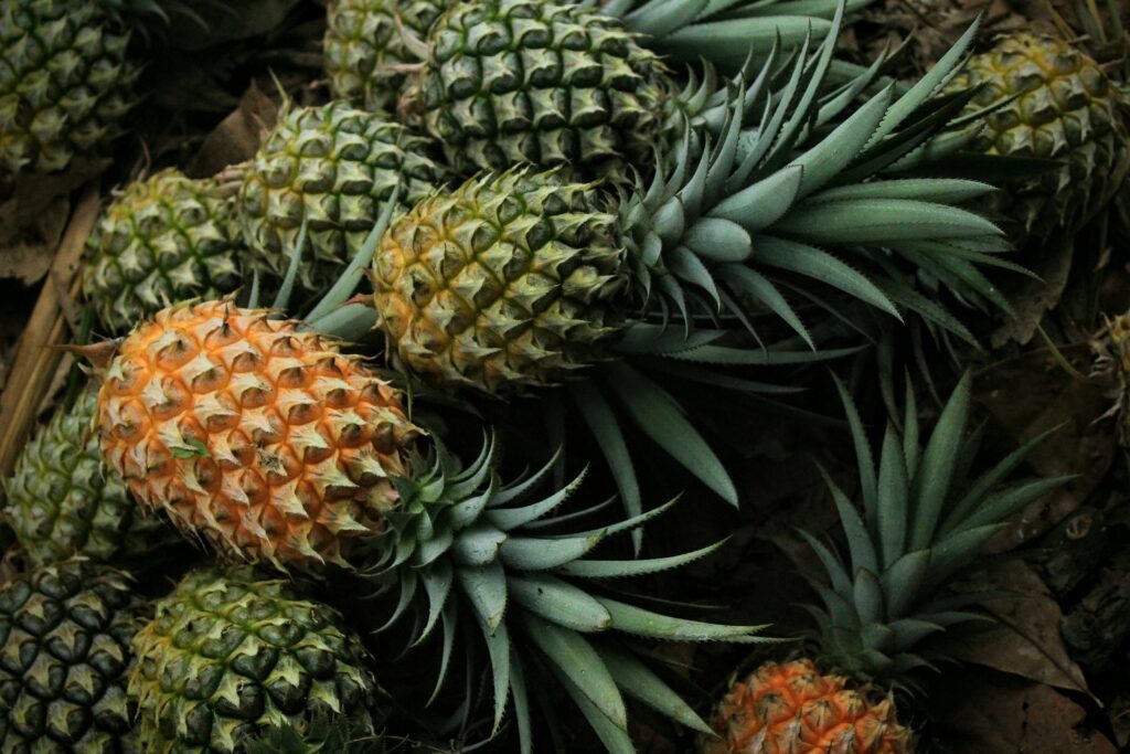 Health Benefits of Pineapple During Pregnancy