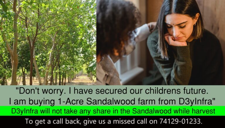 Benefits of Investing in Red Sandal Wood Trees