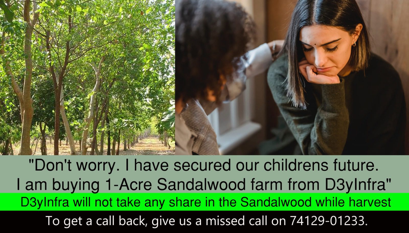 Benefits of Investing in Red Sandal Wood Trees