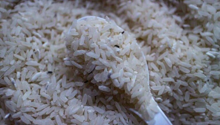 Tips To Get Rid Of The White Worms In Rice Bag