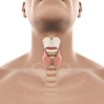 What Is The First Symptom Of Thyroid Cancer?