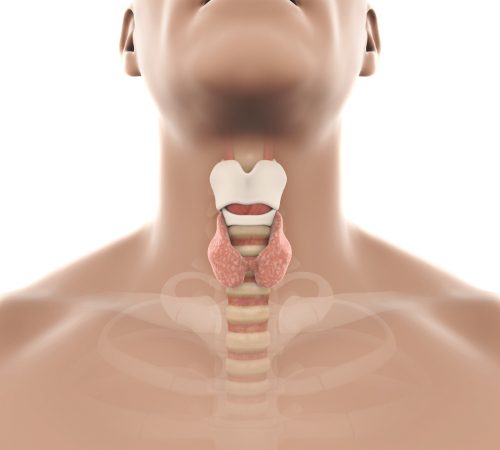 What Is The First Symptom Of Thyroid Cancer?