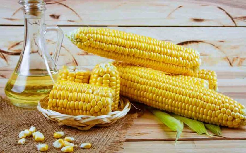 Health Benefits Of Corn Mahilalu