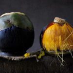 Palmyra Fruit Health Benefits