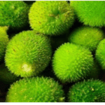 Boda Kakarakaya – The Hidden Superfood for Women’s Health & Beauty